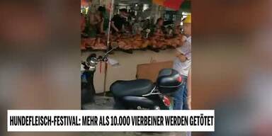 20230428_66_718231_230430_Hundefleisch_festivalmp4.jpg