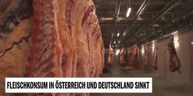 20230428_66_718235_Fleischkonsum.jpg