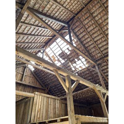 Tornado verwüstet Oberfladnitz im Waldviertel