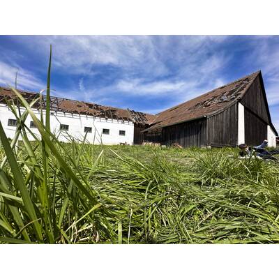 Tornado verwüstet Oberfladnitz im Waldviertel