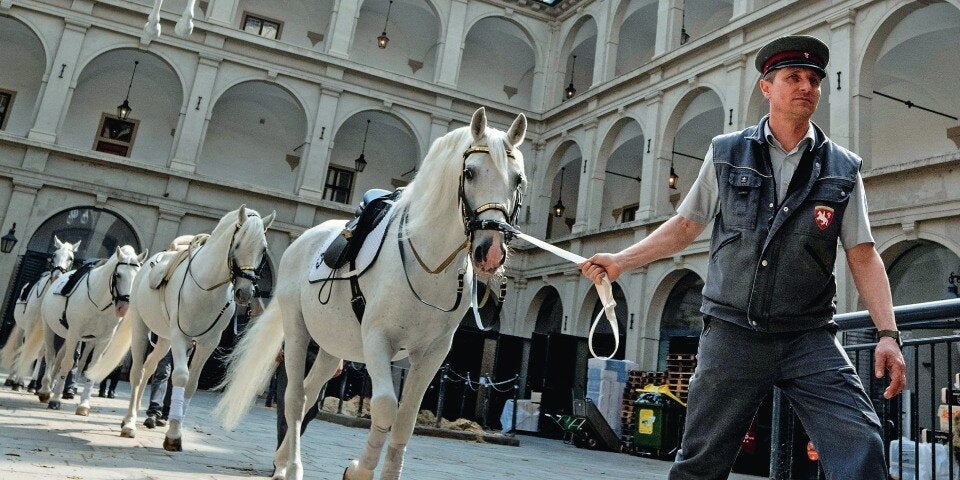 Spanische Hofreitschule