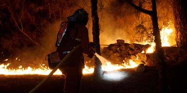 Waldbrand auf Teneriffa