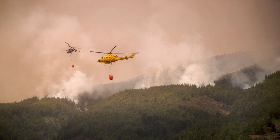 Waldbrand auf Teneriffa