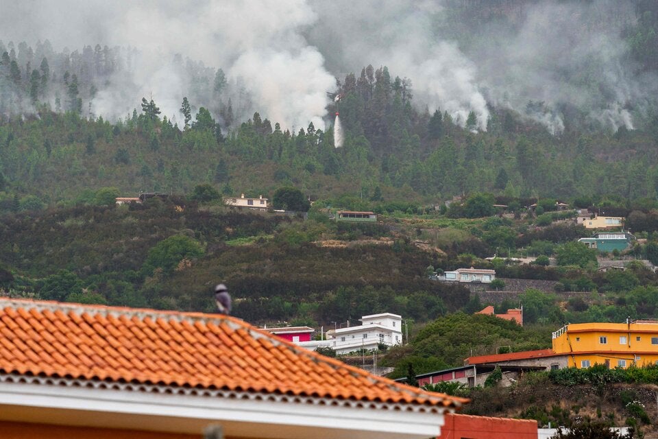 Waldbrand auf Teneriffa