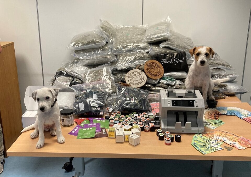 Wiener handelte via Internet im großen Stil mit Drogen