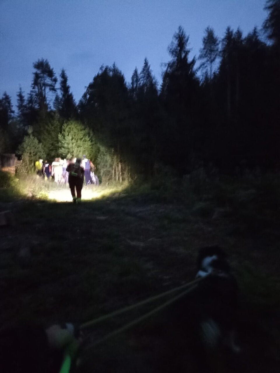 Suche nach Schwammerlsucher