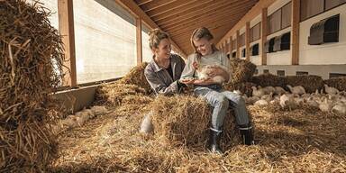 Lebensmittel-Diskonter Hofer setzt auf Tierwohl-Vision 2030