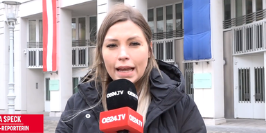 2024-02-01 12_42_20-oe24 &ndash; Opera.png