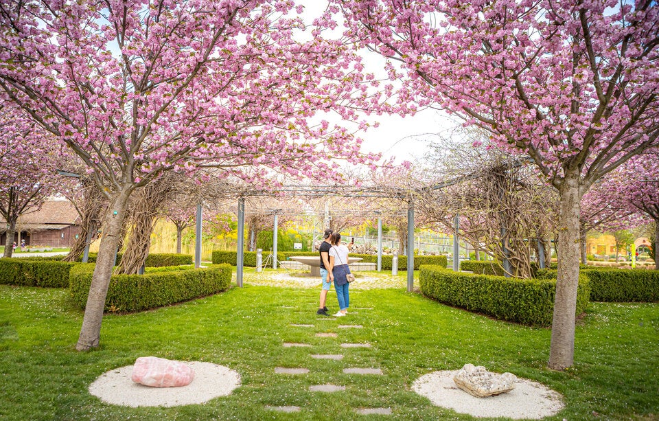 blumengärten hirschstetten