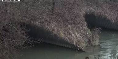20240124_66_812256_240124_XX_MAZ_Mord_Donauinsel_leiche_im_wasser_0min52_BM.jpg