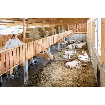 Cheyenne Ochsenknecht: Ihr Leben am Bauernhof