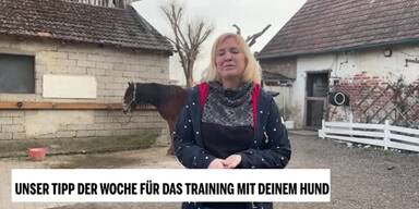 20240322_66_831015_240324_Tipp_der_Woche.jpg