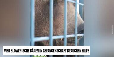20240322_66_831016_240324_Baeren.jpg