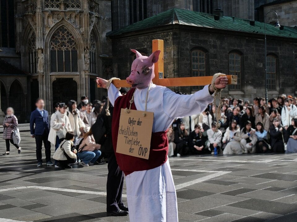 Schweine-Kreuzigung vorm Stephansdom