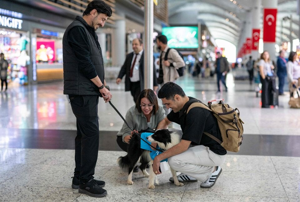 Vier Pfoten für mehr Wohlbefinden: Therapiehunde am Flughafen Istanbul