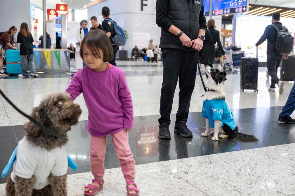 Vier Pfoten für mehr Wohlbefinden: Therapiehunde am Flughafen Istanbul