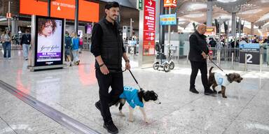 Vier Pfoten f&uuml;r mehr Wohlbefinden: Therapiehunde am Flughafen Istanbul