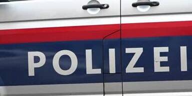 20240523_66_848368_240523_xx_MAZ_Frauenleiche_schwarza_wr_neustadt_ermittlungen_0min37_BM.jpg