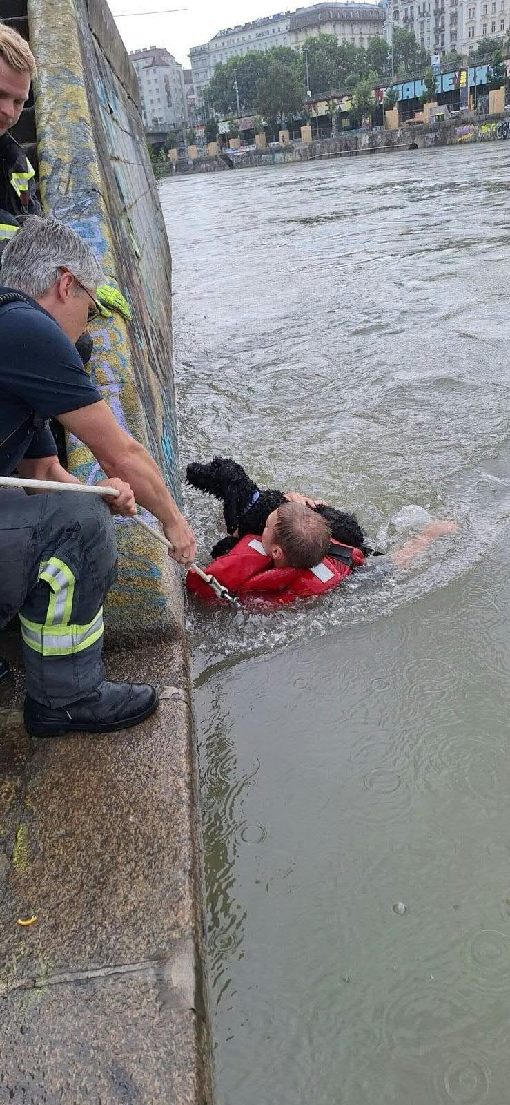 feuerwehr hund gerettet