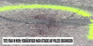 20240612_66_853944_240612_xx_ITV_Markus_Dittrich_Floridsdorf_tote_frau_axt-mArder_2min07_BM.jpg