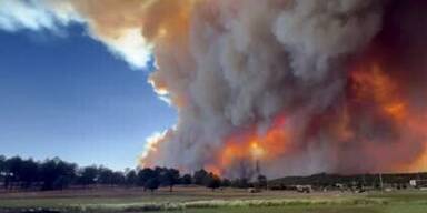20240619_66_856321_240619_xx_MAZ_WaldbrAnde_USA_1_Toter_New_Mexico_Kalifornien_2min02_BM.jpg
