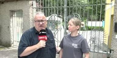 20240627_66_859785_240627_xx_ITV_Miriam_Wiesner_TierArztin_Frau_von_Kuherde_getAtet_2min21_BM.jpg