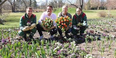 Fr&uuml;hlingserwachen Wien