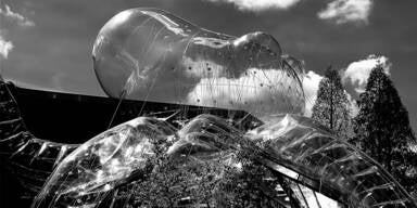 Monumentaler Oktopus schwimmt vor der Karlskirche