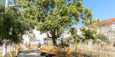 B&auml;umen und Gr&uuml;nfl&auml;chen wirken effektiv gegen Hitze