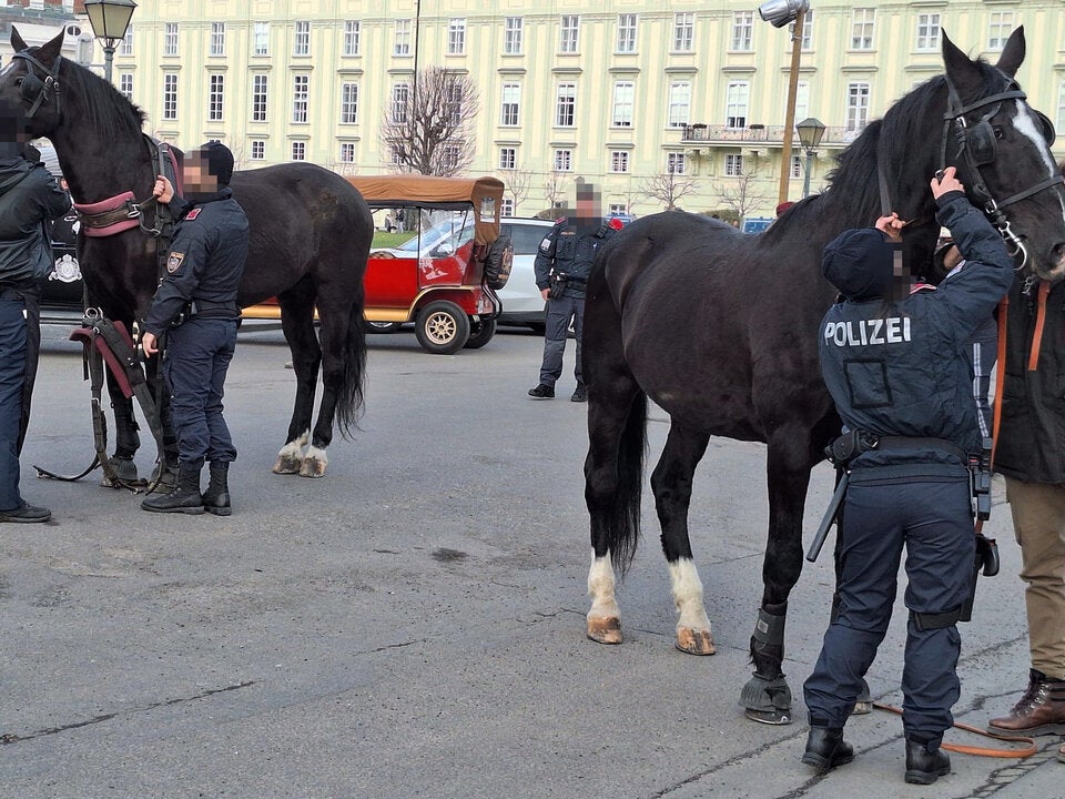 Das zweite Pferd wurde von der Feuerwehr eingefangen. 