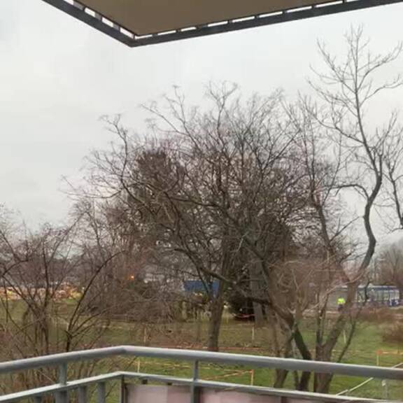 Bäume fallen an der Alten Donau für den Heller-Park