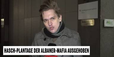 20250124_66_916508_240124_XX_AS_MANUEL_HASCH_PLANTAGE_DER_ALBANER_MAFIA_AUSGEHOBEN_4Min15_KA.jpg