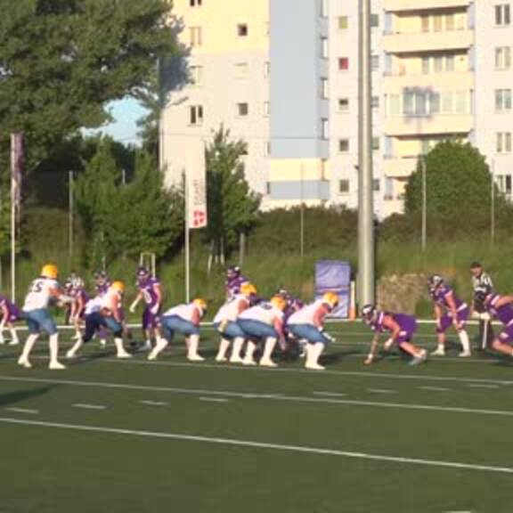 Max Grünsteidl | Vienna Vikings