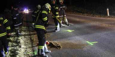 Unfall 15-Jähriger Äste