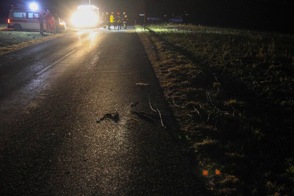 Unfall 15-Jähriger Äste