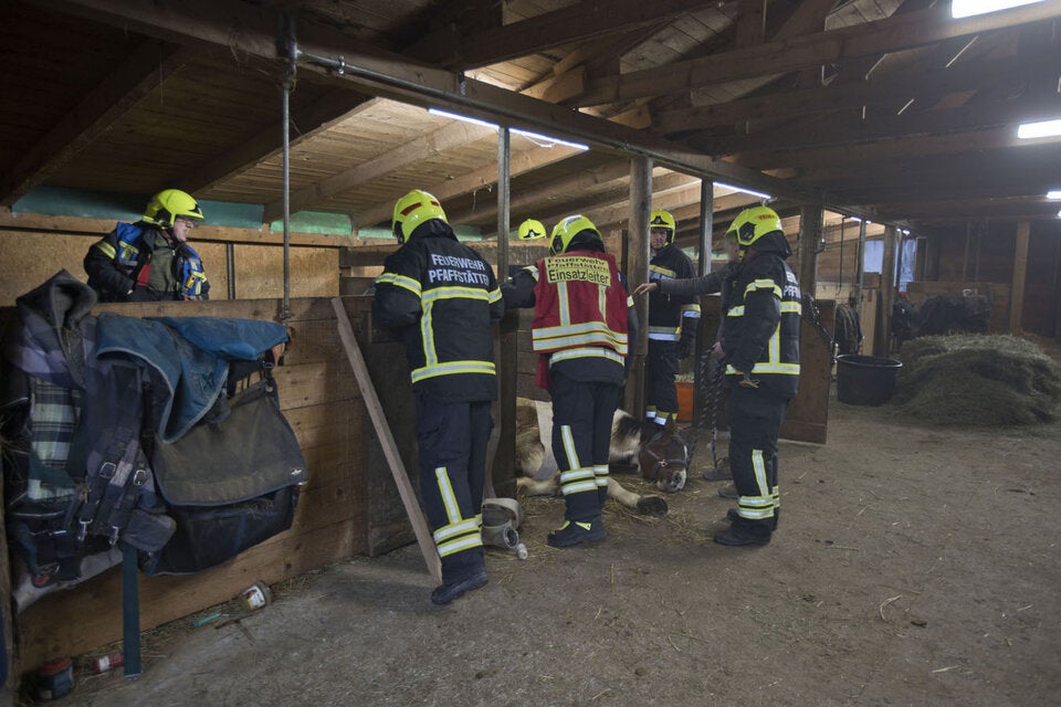 Pferde-Rettung Sammy Pfaffstätten