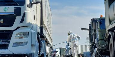 Maul- und Klauenseuche