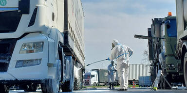 Maul- und Klauenseuche Bundesheer