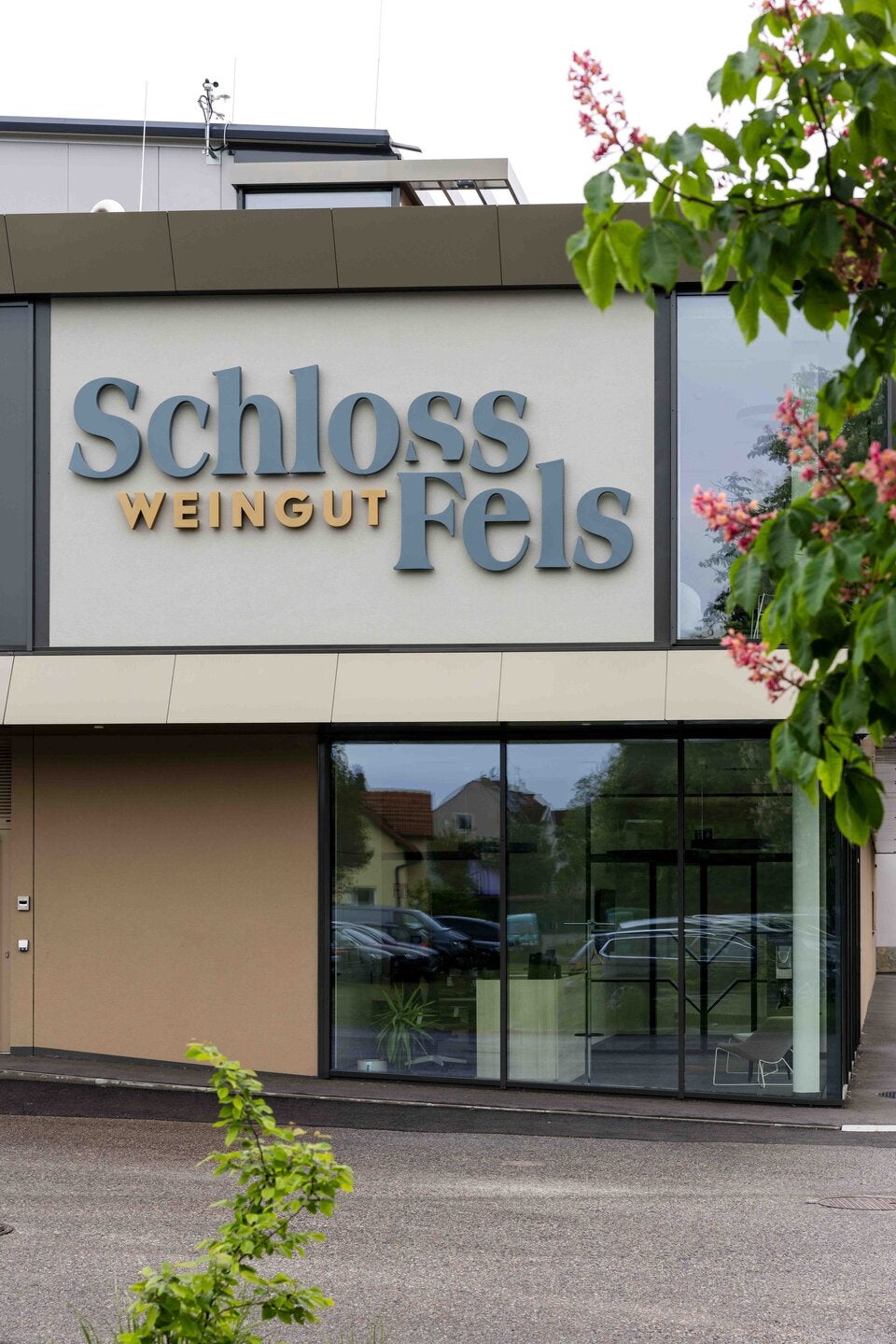 Spar Eigenmarken: Schloss Fels als Vorzeigebetrieb im Weinsegment