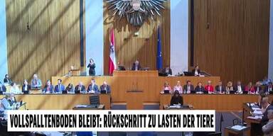 20250516_66_948738_250518_Schweine.jpg
