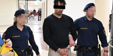 mumaßliche vergewaltiger prozess wien