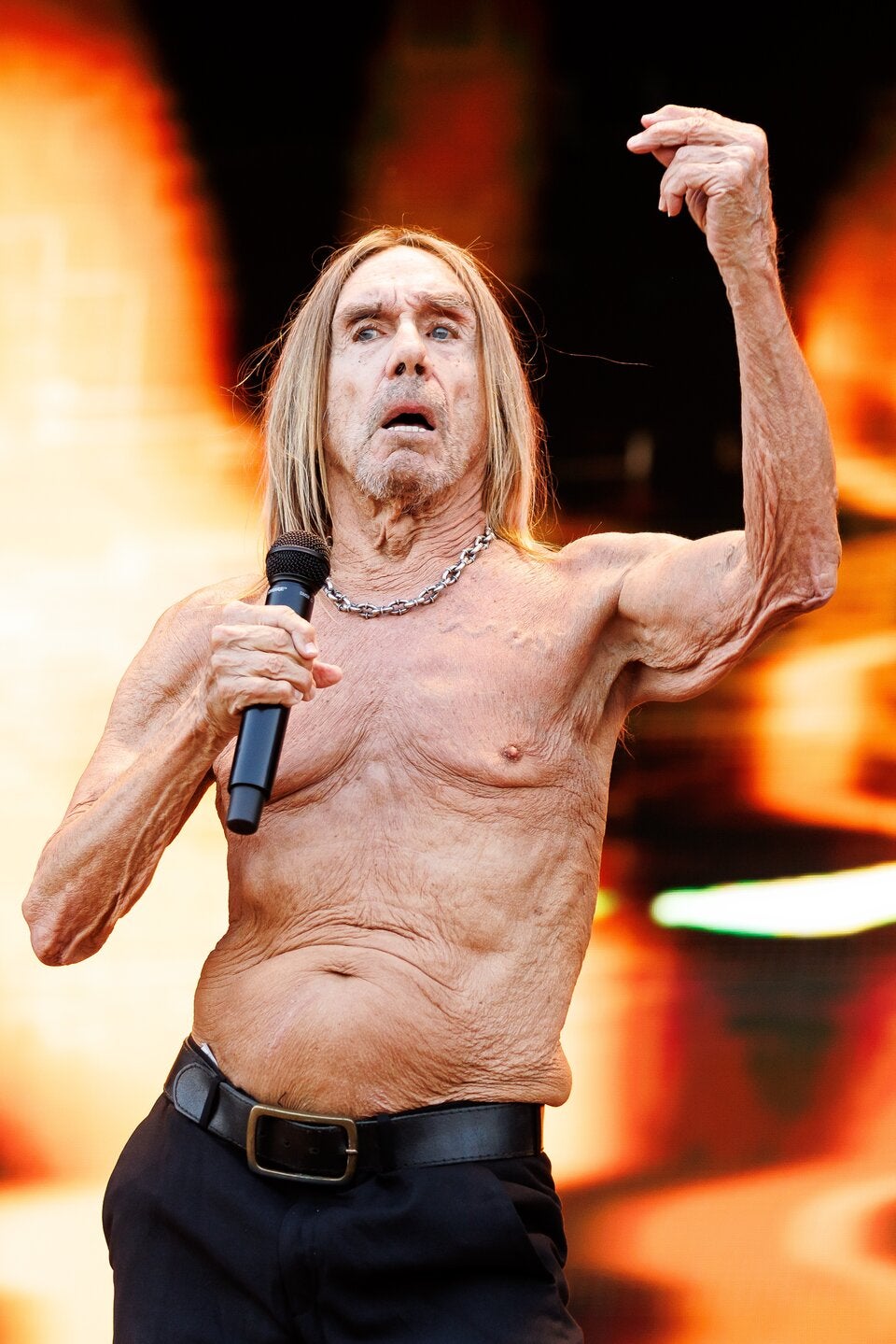 Iggy Pop