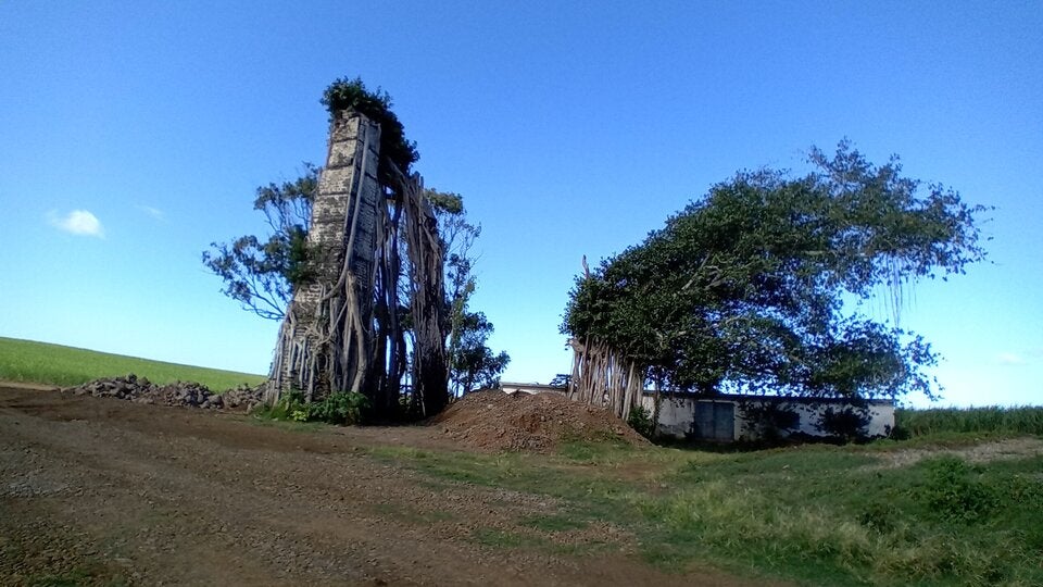 Malerische Zeitzeugen: Alte Zuckerrohrmühlen.