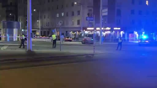 Cobra und Wega: Großeinsatz nahe des Wiener Hauptbahnhofs