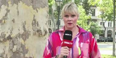 20250716_66_964191_250716_XX_AS_JUDITH_Maedchen_crasht_130000_Euro_E_Auto_gegen_einen_Baum_KA.jpg