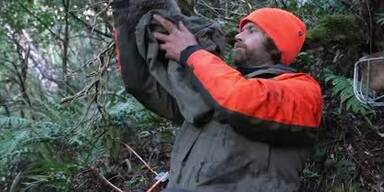 20250721_66_965371_250720_Kiwi.jpg
