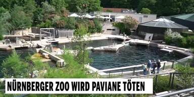 20250721_66_965373_250720_Paviane.jpg