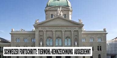 20250721_66_965374_250720_Schweiz.jpg