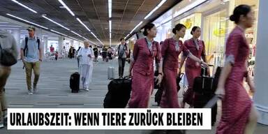 20250721_66_965375_250720_Urlaub.jpg