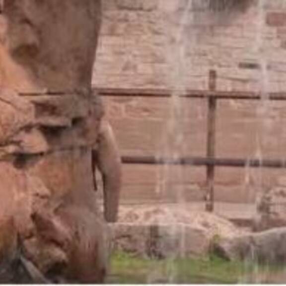 Kot-Zoo: Aus Tierkot wird Hoffnung